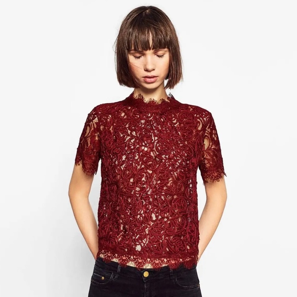 Zara| Burgundy Back Zip Short Sleeve Lace Blouse Top Sz M